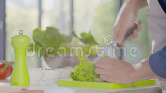 家开放式厨房手工切沙拉生菜的细节地中海健康饮食蔬菜西红柿视频的预览图