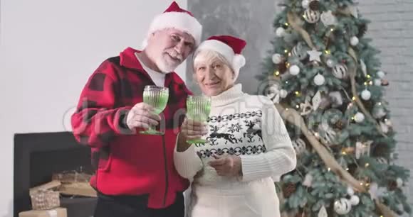 可爱的高加索老夫妇戴着圣诞帽戴着眼镜看着相机微笑着快乐的配偶们视频的预览图