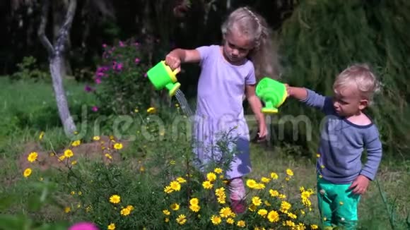 可爱的孩子们兄妹在花园里用小水缸浇花视频的预览图
