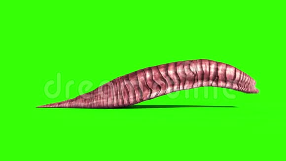 巨型蠕虫怪物爬行循环侧绿色屏幕3D渲染动画视频的预览图