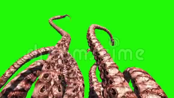 触手怪章鱼绿屏3D渲染动画视频的预览图