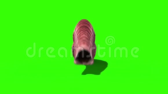 巨型蠕虫怪物爬行循环前绿色屏幕3D渲染动画视频的预览图