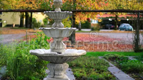 阿斯科纳花园喷泉的广角视频的预览图
