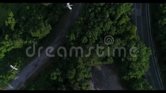 一群鹳鸟飞过绿林环绕的道路视频的预览图