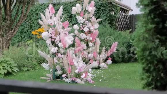 美丽的潘潘红黄草拱和玫瑰侧景视频的预览图
