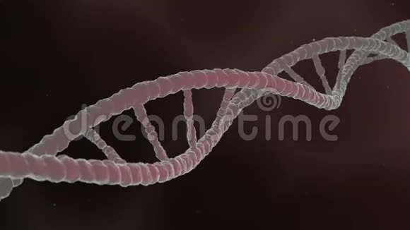 旋转抽象DNA螺旋科学和医学3D概念视频的预览图