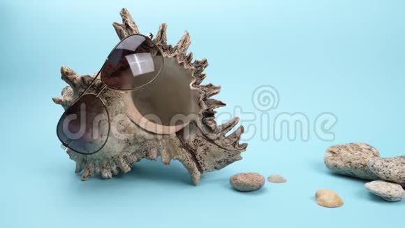 蓝色背景的大贝壳上的太阳镜视频的预览图
