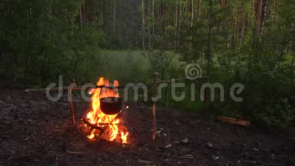 傍晚时分在一片秋松林的黄昏时分用一顶圆顶礼帽酿造篝火视频的预览图