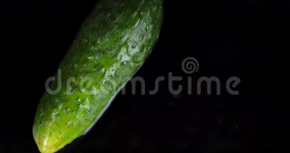 鲜的小黄瓜在水面上滚动视频的预览图