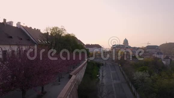布达城堡皇家宫殿在春天的下午樱花盛开视频的预览图