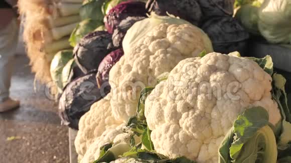 农贸市场新鲜有机蔬菜五颜六色的生蔬菜在当地农民市场上出售特写镜头视频的预览图
