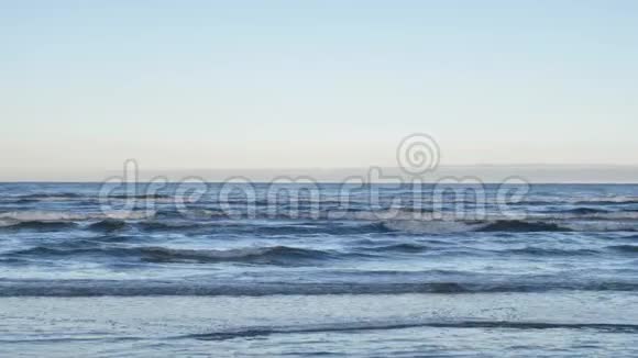 波罗的海和一只海鸥飞过水面4k录像视频的预览图
