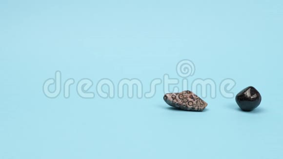 豹式碧玉石榴石蓝色背景上的无螨视频的预览图