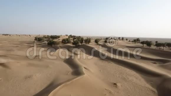 阿曼苏丹国赫马沙漠树木旱地和红沙丘的无人机的惊人快照视频的预览图