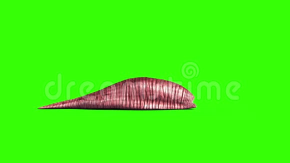 巨型蠕虫怪物攻击侧绿色屏幕3D渲染动画视频的预览图