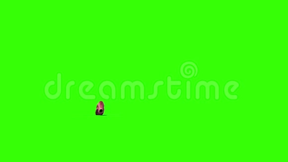 巨虫怪物爬行绿色屏幕三维渲染动画视频的预览图