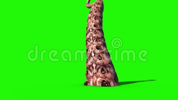 帐篷怪物章鱼绿幕3D渲染动画视频的预览图