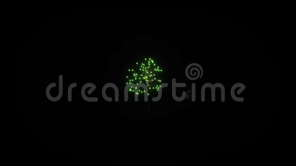 多种颜色烟花爆炸显示天空之夜动画阿尔法绿色屏幕视频的预览图