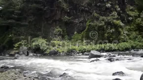墨西哥韦拉克鲁斯Catemaco附近Eyipantla村的瀑布视频的预览图
