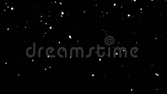 落雪隔离在黑色背景绿色屏幕循环动画视频的预览图