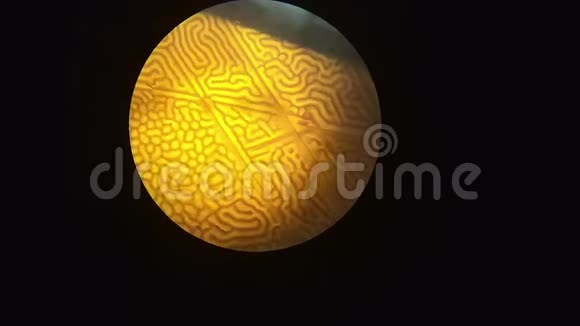 显微镜下磁畴放大微芯片域壁结构特写科学纳米技术视频的预览图