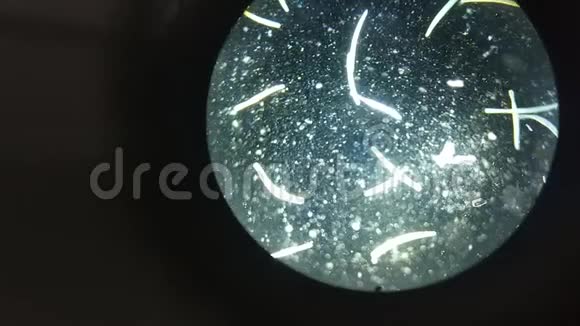 在显微镜放大中关闭微生物或微生物宏而不是3d动画培养皿纳米质地视频的预览图