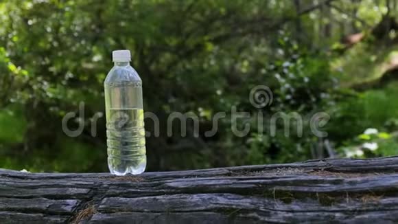 阳光明媚的一天一瓶清澈的水立在绿色森林的原木上视频的预览图