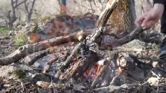 篝火在森林里燃烧年轻人放柴视频的预览图
