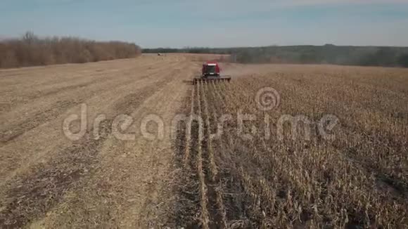 空中观景收割机在玉米地工作秋季农业收割工作视频的预览图