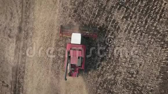 空中观景收割机在玉米地工作秋季农业收割工作视频的预览图