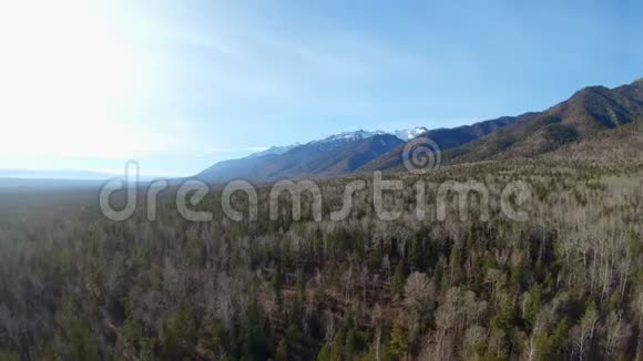 无人机飞回森林上空从空中俯瞰山脉视频的预览图