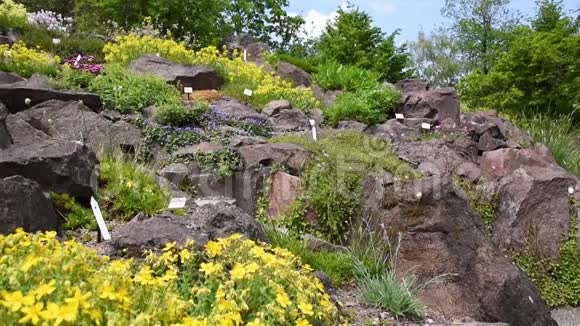 德累斯顿植物园花园里的小径视频的预览图
