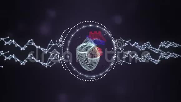 由发光环和神经丛网络屏蔽的人心脏网格模型在darl空间背景上旋转视频的预览图