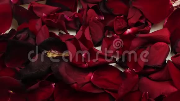 红色的玫瑰花瓣为浪漫约会做装饰视频的预览图