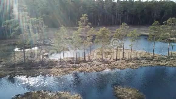 马蒂诺夫斯科湖莫斯科地区俄罗斯视频的预览图