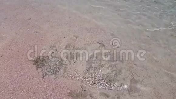 岸附近干净清澈的海水视频的预览图