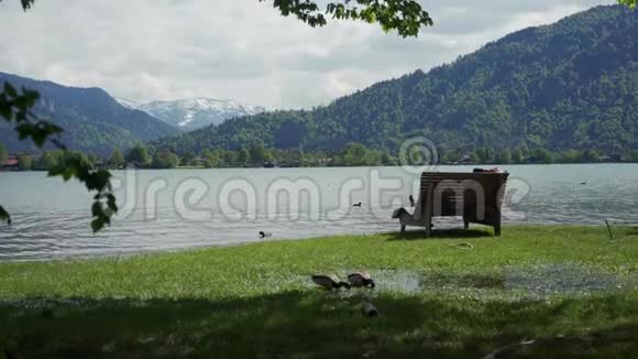 泰格恩湖的观景点有长凳山景鸭子视频的预览图