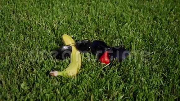 草莓戴墨镜的香蕉像情侣一样躺在绿草上视频的预览图