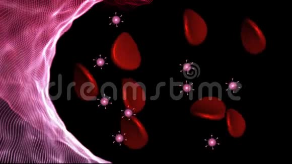血管中沿红细胞分布的病毒颗粒视频的预览图