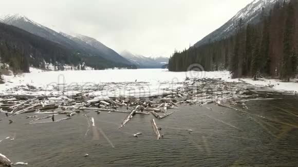 冰湖边漂流木材的美丽空中景色视频的预览图