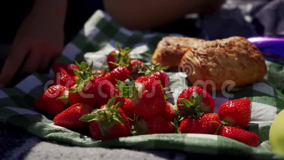 在阳光明媚的天气野餐时雌性手拿着成熟的草莓吃特写镜头视频的预览图