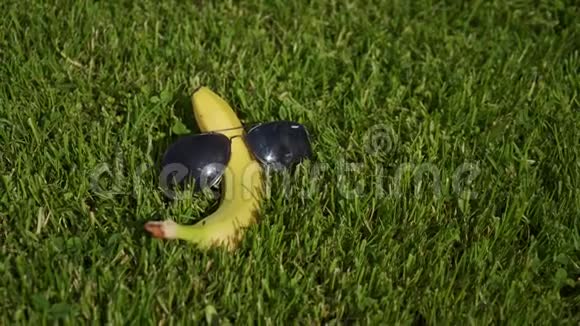 黄色的香蕉戴着太阳镜躺在绿草上像游客一样特写镜头视频的预览图
