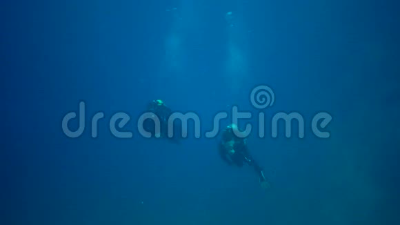 潜水员在蓝水的厚度下游过珊瑚礁红海视频的预览图