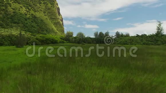 夏威夷岛上绿树成荫的草地高山和小树林视频的预览图