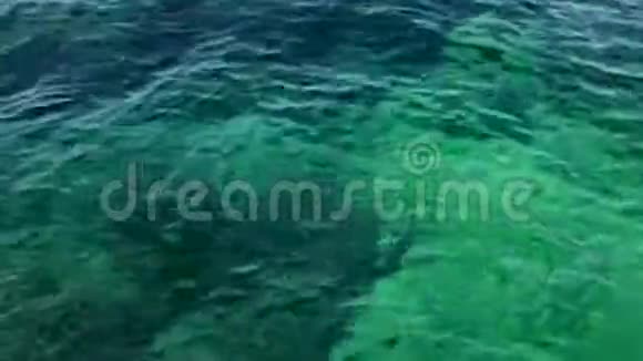 水面洁净纹理背景蓝色海水质地平静背景平静视频的预览图