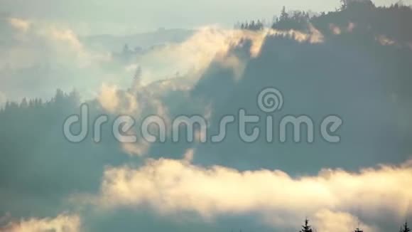 晨雾笼罩着茂密的山丘快速运动视频的预览图