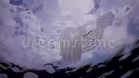 海洋入侵海蜇属黑海视频的预览图