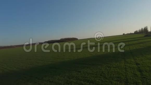 在日落时分在年轻的小麦上方观看FPV无人机视频的预览图