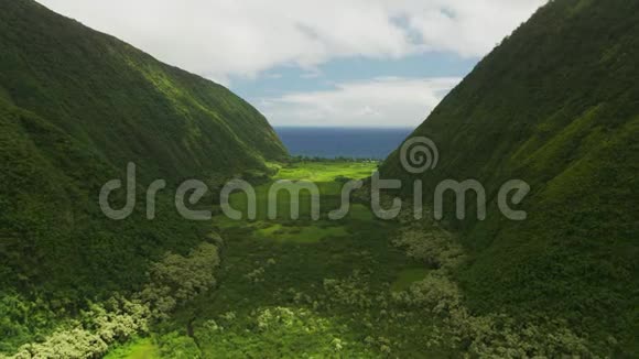 我可以看到夏威夷山脉和绿野之间的小而窄的河流地平线上的海洋视频的预览图