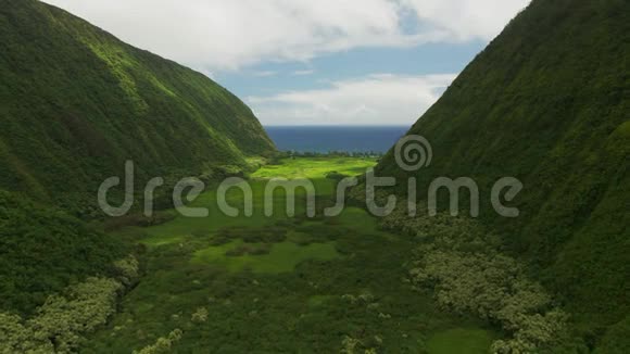 夏威夷岛上两座山之间的绿色平原上缓慢飞行视频的预览图